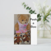 "Summer Beer in Tiger Shoes" CricketDiane Briefkaart (Staand voorkant)