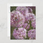 Summer bees 2014 briefkaart (Voorkant / Achterkant)