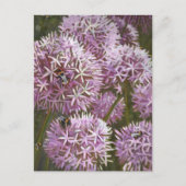 Summer bees 2014 briefkaart (Voorkant)