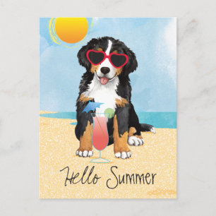 Summer Bernese Mountain Dog Briefkaart
