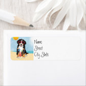 Summer Bernese Mountain Dog Etiket (Insitu)