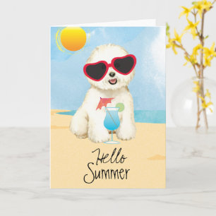 Summer Bichon Frise Kaart