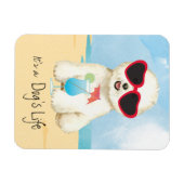 Summer Bichon Frise Magneet (Horizontaal)