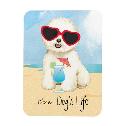 Summer Bichon Frise Magneet (Verticaal)