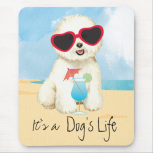 Summer Bichon Frise Muismat