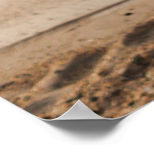 Summer Bikini Poster (Hoek)