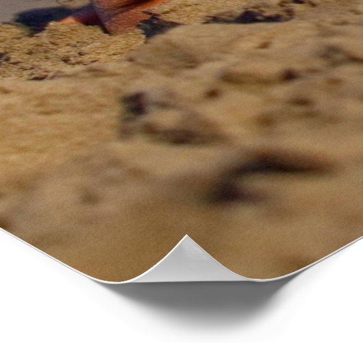 Summer Bikini Poster (Hoek)