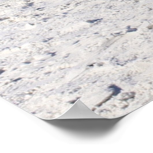 Summer Bikini Poster (Hoek)