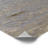 Summer Bikini Poster (Hoek)