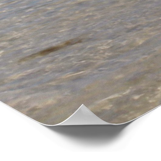 Summer Bikini Poster (Hoek)