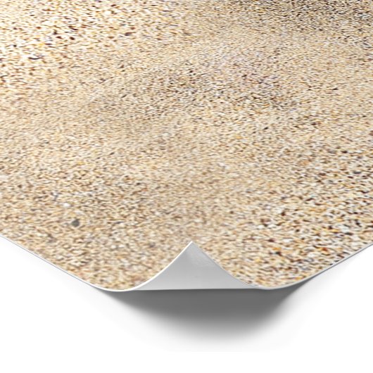 Summer Bikini Poster (Hoek)