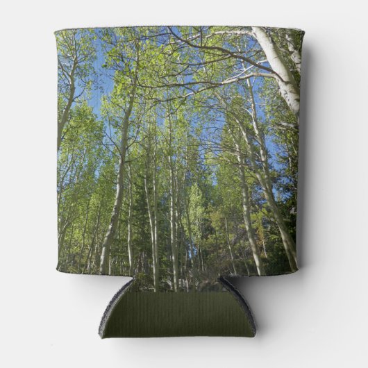 Summer Birch Trees in Rocky Mountain Blikjeskoeler (Voorkant)