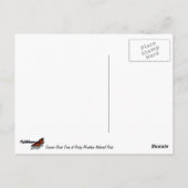 Summer Birch Trees in Rocky Mountain Briefkaart (Achterkant)