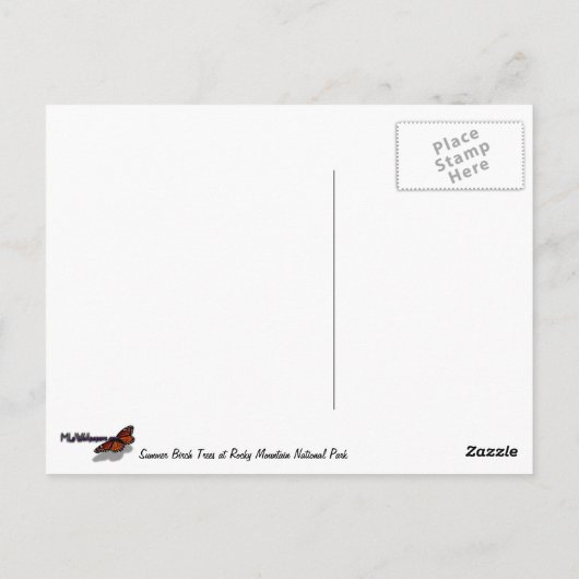 Summer Birch Trees in Rocky Mountain Briefkaart (Achterkant)