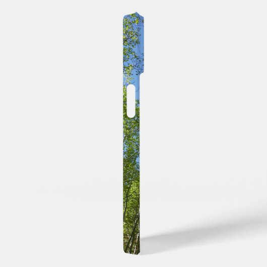 Summer Birch Trees in Rocky Mountain Case-Mate iPhone Case (Achterkant / Rechts)