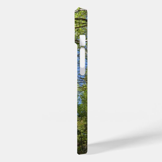 Summer Birch Trees in Rocky Mountain Case-Mate iPhone Case (Achterkant / Links)