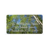 Summer Birch Trees in Rocky Mountain Etiket (Voorkant)