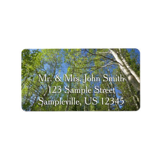 Summer Birch Trees in Rocky Mountain Etiket (Voorkant)