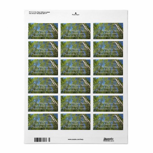 Summer Birch Trees in Rocky Mountain Etiket (Full Sheet)