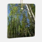 Summer Birch Trees in Rocky Mountain Keramisch Ornament (Rechts)