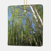 Summer Birch Trees in Rocky Mountain Keramisch Ornament (Links)