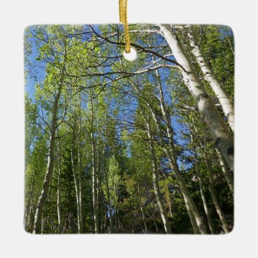 Summer Birch Trees in Rocky Mountain Keramisch Ornament (Voorkant)