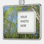 Summer Birch Trees in Rocky Mountain Verzilverd Omlijst Ornament (Links)