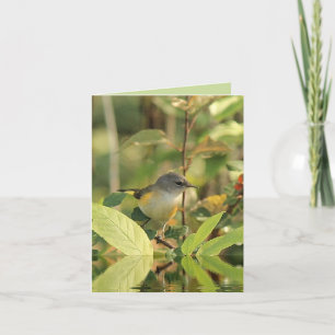 Summer Bird Note Kaart
