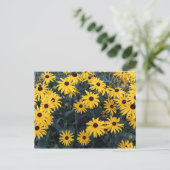 Summer Black-eyed Susan Wildflower Briefkaart (Staand voorkant)