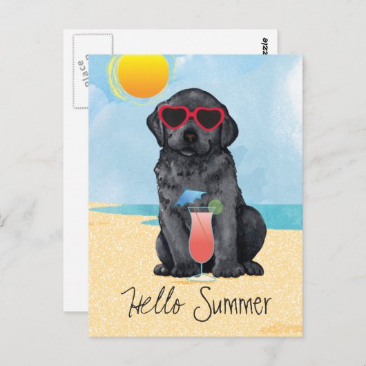 Summer Black Lab Briefkaart (Voorkant / Achterkant)