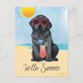 Summer Black Lab Briefkaart (Voorkant)
