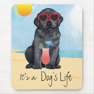Summer Black Lab Muismat