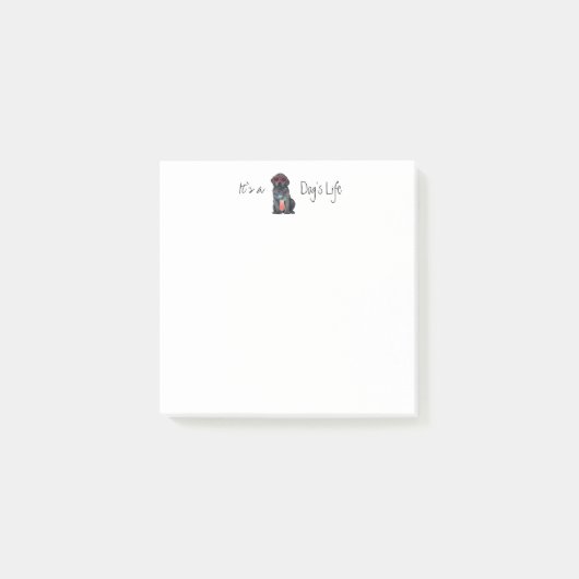 Summer Black Lab Post-it® Notes (Voorkant)