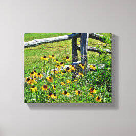 Summer Blue Ridge Parkway USA Wildflower Foto Canvas Afdruk