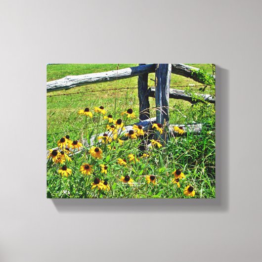 Summer Blue Ridge Parkway USA Wildflower Foto Canvas Afdruk (Voorkant)
