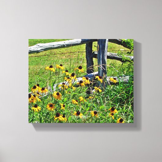 Summer Blue Ridge Parkway USA Wildflower Foto Canvas Afdruk (Voorkant)
