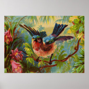 Summer Bluebird Large Poster