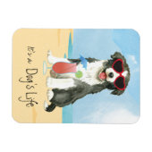 Summer Border Collie Magnet Magneet (Horizontaal)