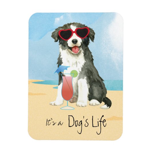 Summer Border Collie Magnet Magneet (Verticaal)