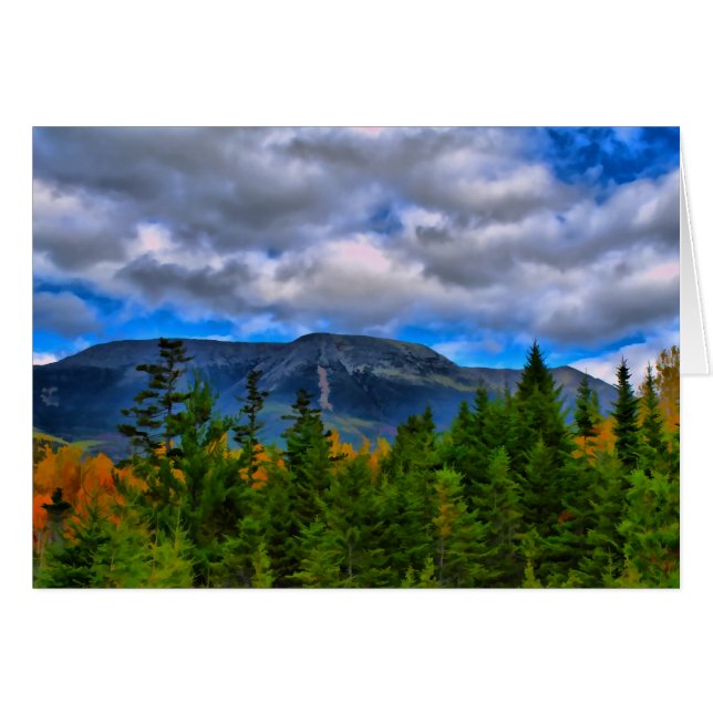 Summer Breeze (Voorkant Horizontaal)