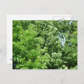 Summer Breeze Briefkaart (Voorkant / Achterkant)