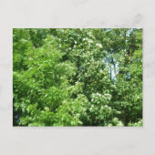 Summer Breeze Briefkaart (Voorkant)