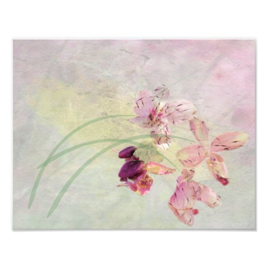 Summer Breeze Foto Afdruk (Voorkant)