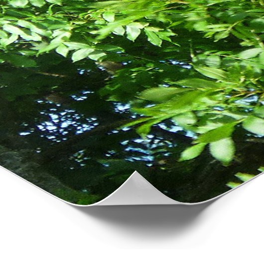 Summer Breeze Poster (Hoek)