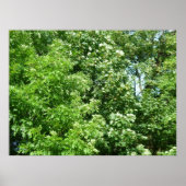 Summer Breeze Poster (Voorkant)