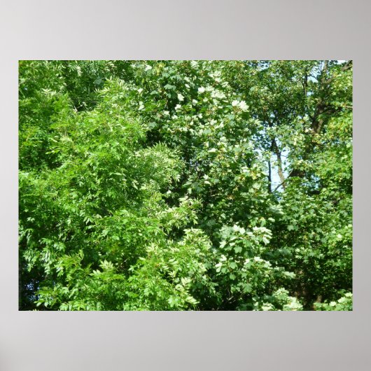 Summer Breeze Poster (Voorkant)