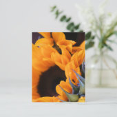 Summer Bright Sunflower Briefkaart (Staand voorkant)