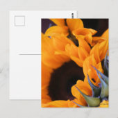 Summer Bright Sunflower Briefkaart (Voorkant / Achterkant)