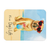 Summer Brussels Griffon Magneet (Horizontaal)