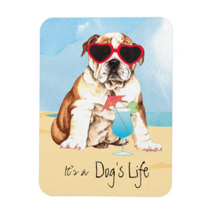 Summer Bulldog Magneet